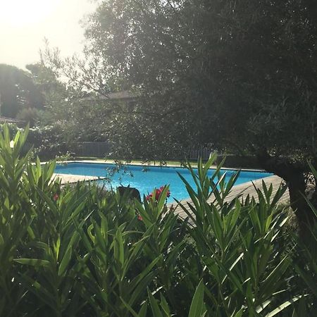 ポルトヴェッキオAppt T2 Standing Avec Piscine Et Terrasseアパートメント エクステリア 写真