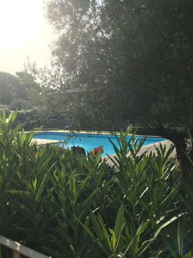 ポルトヴェッキオAppt T2 Standing Avec Piscine Et Terrasseアパートメント エクステリア 写真
